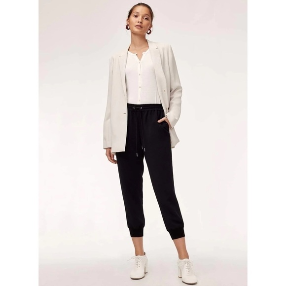 ARITZIA Wilfred Buffon Pant Jogger - Picture 1 of 6
